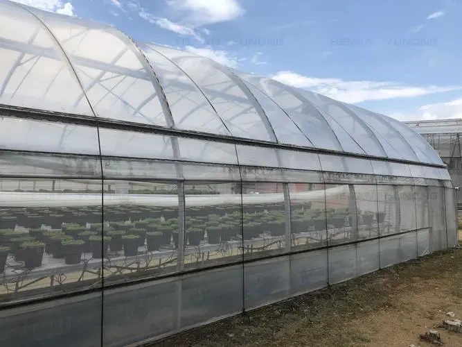 u5045620101947961493fm253fmtautoapp138fJPEG u5045620101947961493fm253fmtautoapp138fJPEG