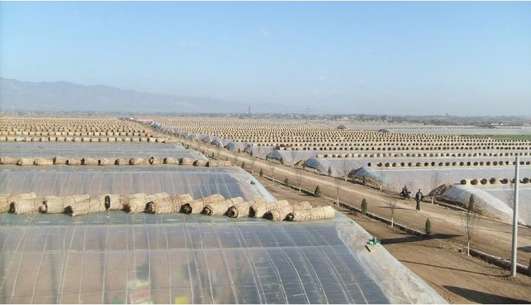 1a23eeab38e407dc 1a23eeab38e407dc